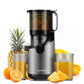 Professionele Juicer